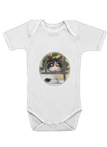 Onesies Baby Cat with spectacles frame, she looks through a wrought iron fence