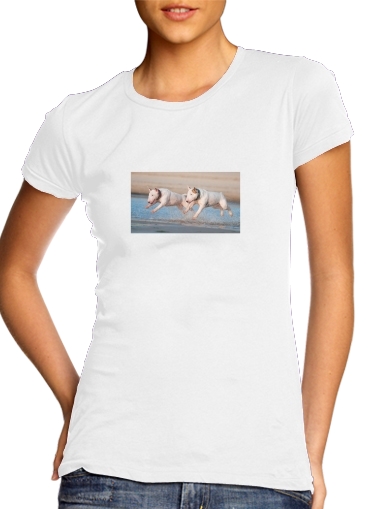  bull terrier Dogs para T-shirt branco das mulheres