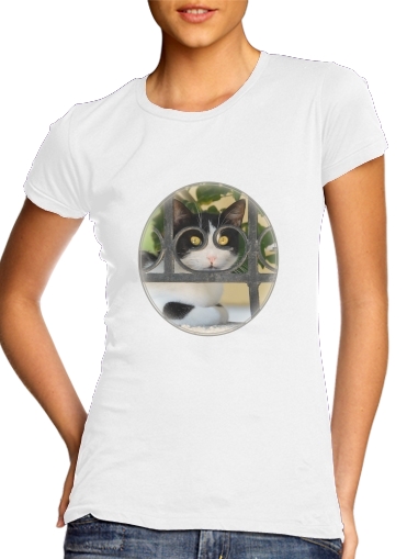  Cat with spectacles frame, she looks through a wrought iron fence para T-shirt branco das mulheres