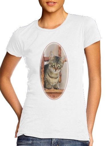  Cute kitten on a rusty iron door  para T-shirt branco das mulheres
