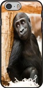 Capa Baby Monkey for Iphone 6 4.7