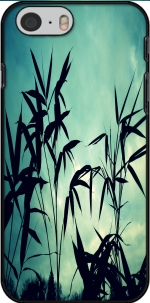 Capa Bamboo in the Nature for Iphone 6 4.7