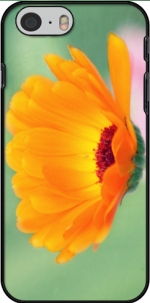 Capa Be Beautiful for Iphone 6 4.7