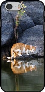 Capa Cat Reflection in Pond Water for Iphone 6 4.7