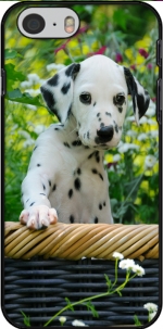 Capa Filhote de cachorro dálmata em uma cesta for Iphone 6 4.7