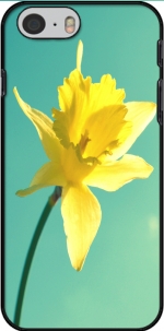 Capa Daffodil for Iphone 6 4.7