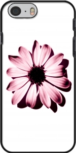 Capa Daisy Burgundy for Iphone 6 4.7