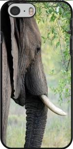 Capa Elephant for Iphone 6 4.7