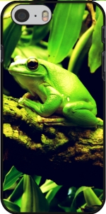 Capa Green Frog for Iphone 6 4.7
