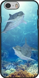 Capa happy dolphins for Iphone 6 4.7
