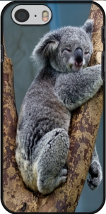 Capa Koala Bear Australia for Iphone 6 4.7