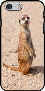 Capa Meerkat for Iphone 6 4.7