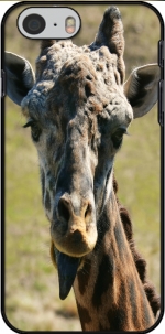 Capa Sassy Pants Giraffe for Iphone 6 4.7