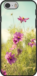 Capa summer cosmos for Iphone 6 4.7
