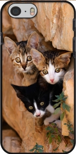 Capa Three cute kittens in a wall hole for Iphone 6 4.7