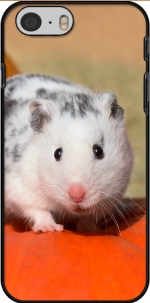Capa White Dalmatian Hamster with black spots  for Iphone 6 4.7