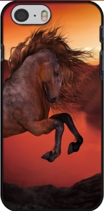 Capa A Horse In The Sunset for Iphone 6 4.7