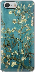 Capa Almond Branches in Bloom for Iphone 6 4.7