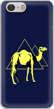 Capa Arabian Camel (Dromedary)