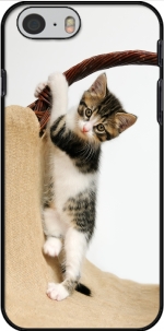 Capa Gato do bebê, gatinho bonito escalada for Iphone 6 4.7