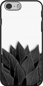 Capa Black Leaves for Iphone 6 4.7