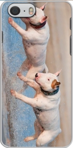 Capa bull terrier Dogs for Iphone 6 4.7