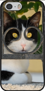 Capa Cat with spectacles frame, she looks through a wrought iron fence for Iphone 6 4.7