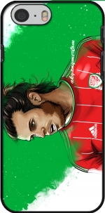 Capa Euro Wales for Iphone 6 4.7