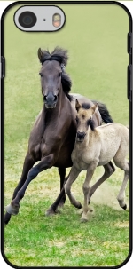 Capa Horses, wild Duelmener ponies, mare and foal for Iphone 6 4.7
