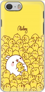 Capa Molang for Iphone 6 4.7