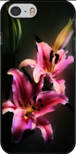 Capa Painting Pink Stargazer Lily for Iphone 6 4.7