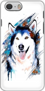 Capa  siberian husky watercolor for Iphone 6 4.7