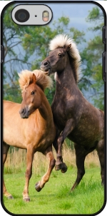 Capa Two Icelandic horses playing, rearing and frolic around in a meadow for Iphone 6 4.7